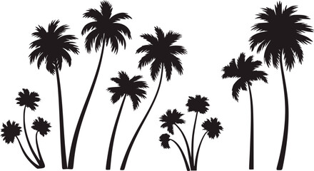Black palm trees against white background silhouette © Parvej