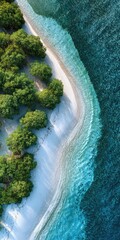Lush green foliage meets a pristine white sand beach curving into turquoise ocean waters, viewed from a high-angle aerial perspective
