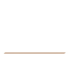 A minimalist illustration of a horizontal line, symbolizing simplicity and division