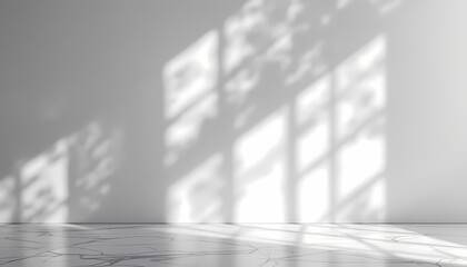 Minimal wall background with soft window light and natural shadows