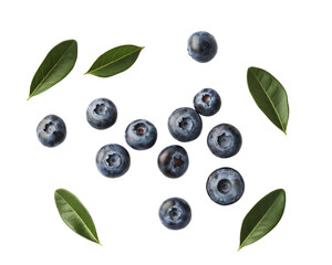 fresh blueberries with leaves on white background