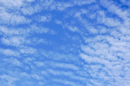 Low angle view of soft rippled cirrocumulus clouds spreading across a vibrant bright blue sky.