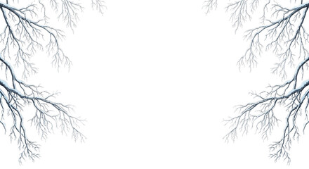 Close up of snow covered pine tree branches forming a frame on a black background isolated on transparent background