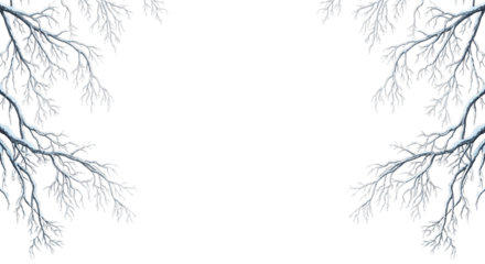 Close up of snow covered pine tree branches forming a frame on a black background isolated on transparent background
