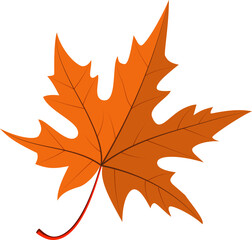 autumn leaves icon