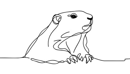 Single line drawing in modern minimalist style of groundhog emerging from burrow on white background with copy space