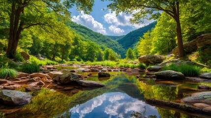 Obraz premium Lush green forest valley with a rocky river, calm water reflecting blue sky and white clouds, nature's serenity