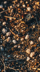 Close-up view of soil and small pebbles illuminated by sunlight, creating a textured surface.