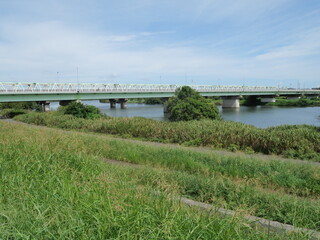 江戸川にかかる橋