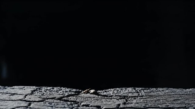 A captivating close-up features a dark, ruggedly textured surface, reminiscent of scorched wood or aged stone, dramatically illuminated from a low angle. The subtle play of light and shadow accentuate