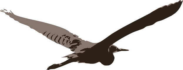 A lone bird soars effortlessly across the open sky, wings outstretched in perfect symmetry