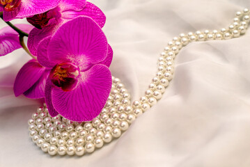 The branch of purple orchids on white fabric background