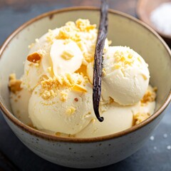Soft Vanilla Ice Cream Scoops in a Bowl Garnished with a Real Vanilla Bean