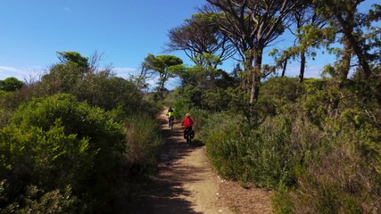 Active seniors on e-bikes riding through pine forest trail along the Tuscany beach coast. Aerial