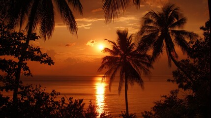 Fototapeta premium Tropical Sunset with Palm Trees and Ocean Silhouette.