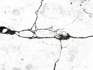 cracked wall transparent