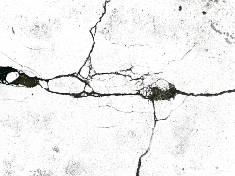 cracked wall transparent