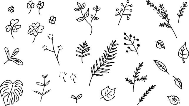 手描き風で描かれた植物と葉のボタニカル線画セット｜植物,葉,,線画,手描き