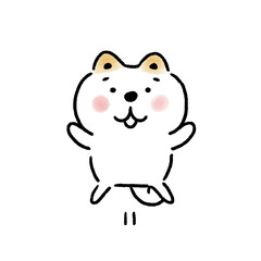 ばんざいして喜ぶ白い柴犬