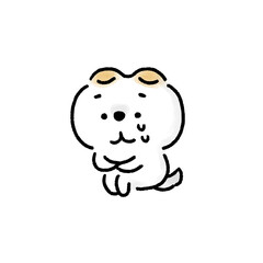 体育座りで涙を流す白い柴犬