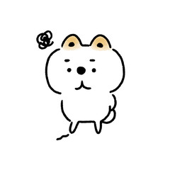 不満げな表情で俯く白い柴犬