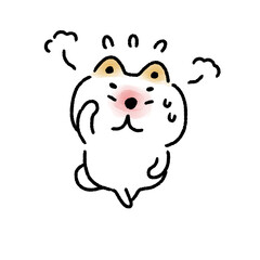 思い出し恥ずかしが止まらない白い柴犬