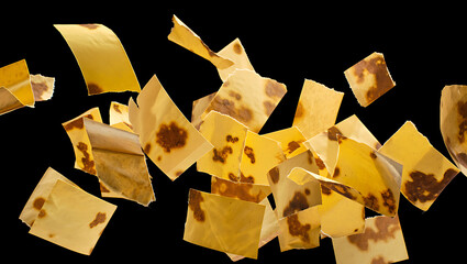 Scattered pieces of aged parchment paper with distinctive brown spots, evoking historical decay, isolated against a stark black background for a dramatic visual