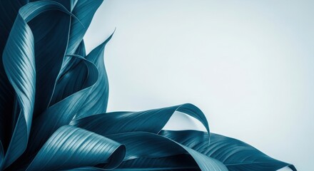 Elegant Teal Leaf Design Gentle Swirls Soft Background