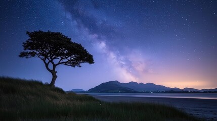 A Majestic Tree Under the Stars: Night Sky with Milky Way and Calm Waters