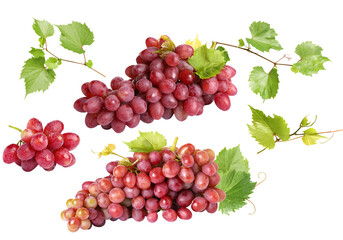 composition of fresh red seedless table grapes in three clusters, complete with green vine leaves and curly tendrils, isolated on transparent background.