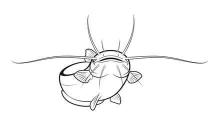 A detailed black and white line drawing of a catfish facing forward with its barbels extended.