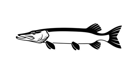 Black and white illustration of a Northern Pike fish, showing detailed anatomy and scales.