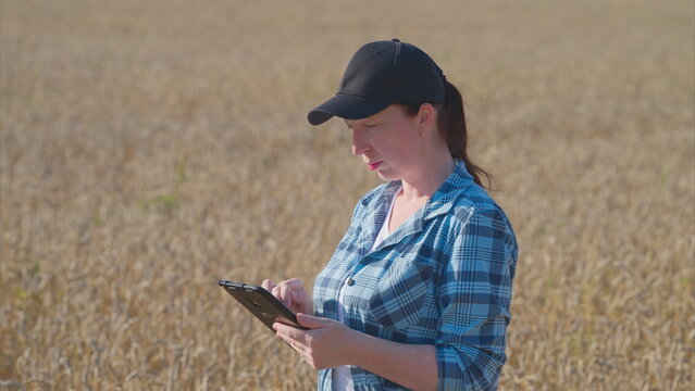 A woman is seen utilizing a tablet in a vast wheat field on a bright and sunny day