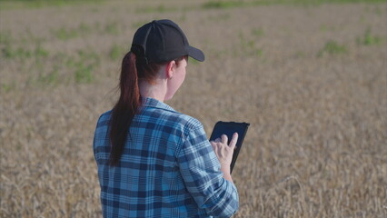 A farm worker utilizing a tablet in the agricultural field for comprehensive data analysis