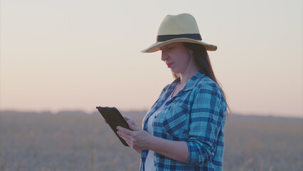 Fototapeta premium A woman is in a beautiful field using a tablet while enjoying the stunning sunset view