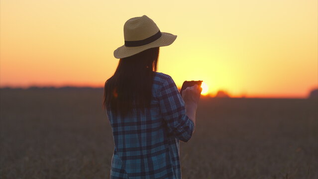 A woman happily enjoys the sunset while standing in a lovely field with her smartphone - Powered by Adobe