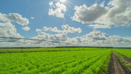 Lush Expansive Green Fields With