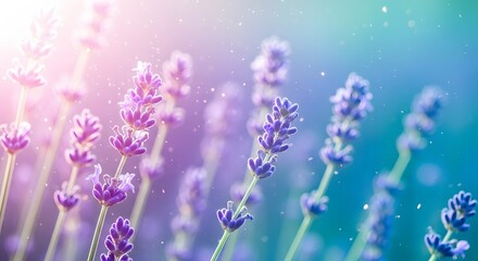 Closeup of delicate lavender flowers in a field, bathed in soft, dreamy sunlight with a bokeh effect and sparkling particles