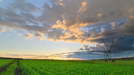 Lush Green Fields with an irrigation system and Dramatic Skies Showcasing a Beautiful Sunset During Evening Time © beholdereye