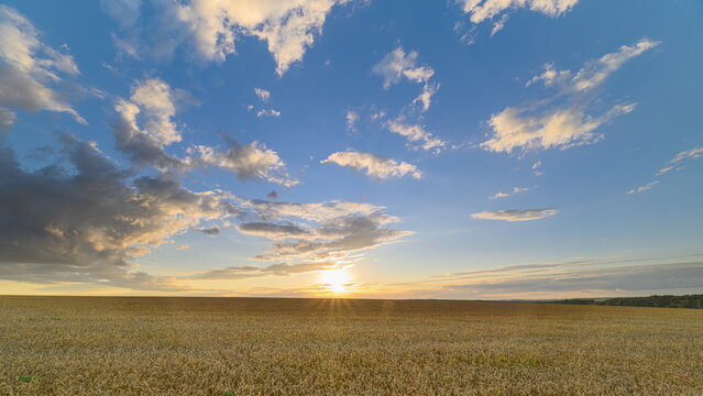 A Beautiful Serene Sunset Painting the Horizon Over a Vast wheat Field in Tranquil Atmosphere