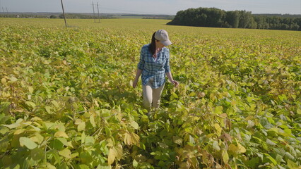 Walking Through a Beautiful, Lush Green soybeans Field Fully Embracing the Joyful Serenity of Nature