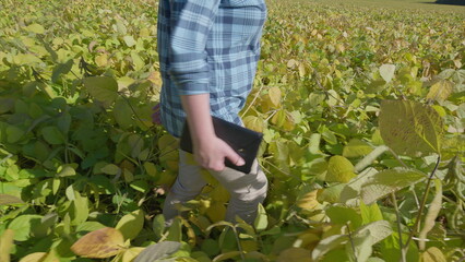 Exploring Technology in Agriculture Embracing Modern soybeans Farming and Sustainability