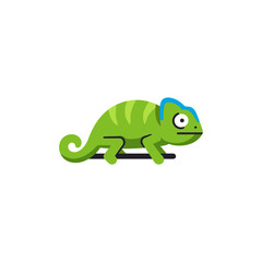 Green chameleon perched on a branch