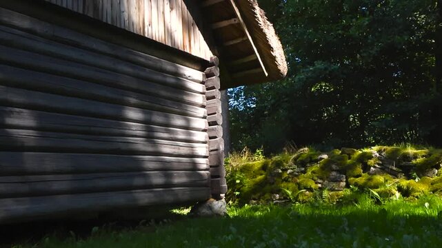 Low angle slow pan of traditional log building with thatch roofing and green moss covered dry stone wall at the Estonian Open Air Museum. Rocks holding up old farm house cottage, summer grass backyard