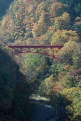 Autumn in the Minami Shiga Kogen area of ​​northern Shinano, autumn leaves and a red bridge (Takai Bridge and morning light shining into the Matsukawa Valley) / 秋の北信濃 南志賀高原エリア，紅葉と赤い橋(松川渓谷に差し込む朝の光と高井橋)