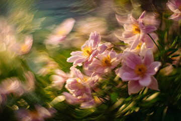 flowers moving softly in the breeze with natural motion blur and a bright open space in the middle