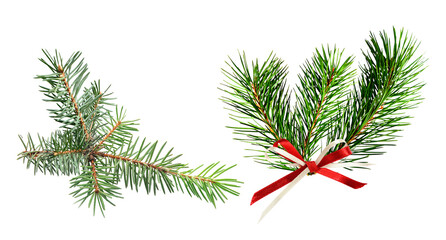 fresh evergreen pine tree branches, featuring frosty needles and one bunch decorated with a festive red and white striped bow, isolated on black.