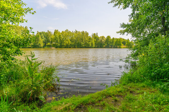 A beautifully tranquil lakeside landscape adorned with lush greenery and vibrant flora