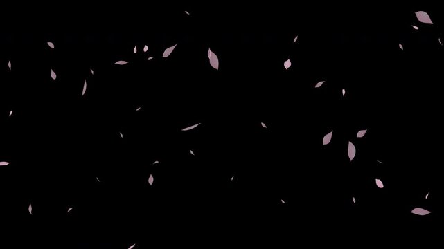 水彩風 真上から下へ桜の花びらが舞う[4K-背景透過] Watercolor Spring Series:Cherry blossom petals dancing from top to bottom[with Alpha Channel / Transparent Background]4K