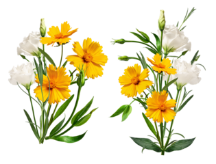 two symmetrical arrangements of bright yellow coreopsis flowers and elegant white eustoma blossoms with fresh green foliage, isolated on black.